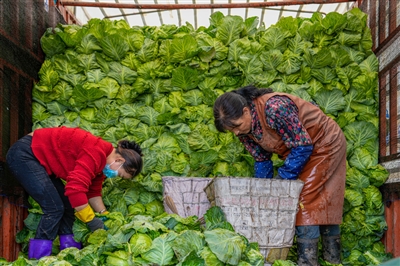 17��ğ������ຣ��������߲˵ĳ��L�D�V