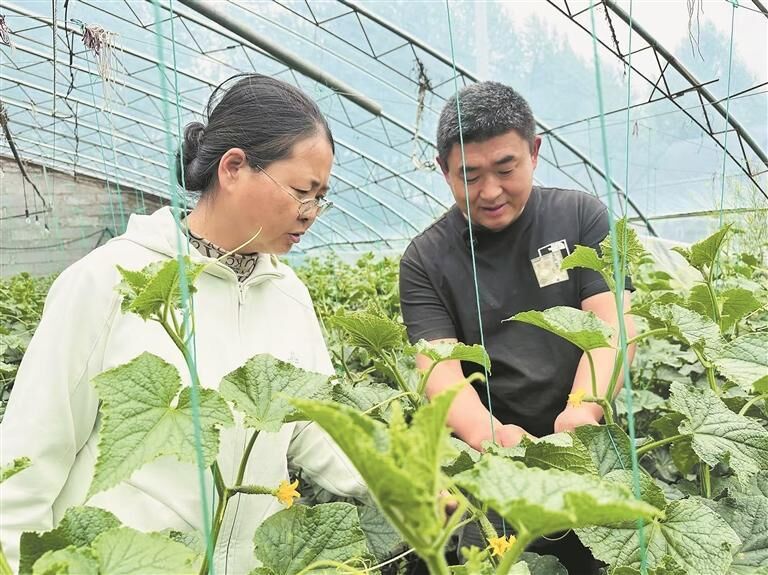 ��囶������䌍������Ҏ������������ֱͨ���g �Ƽ��x���l�����d