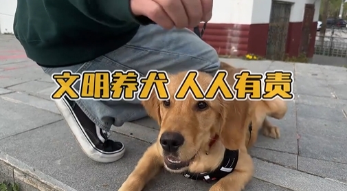 �����BȮ ������؟