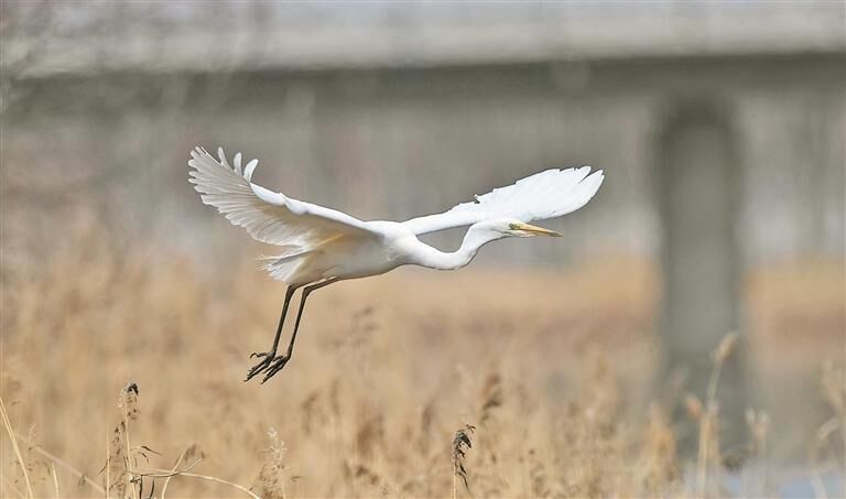 QQ�DƬ20250625061018