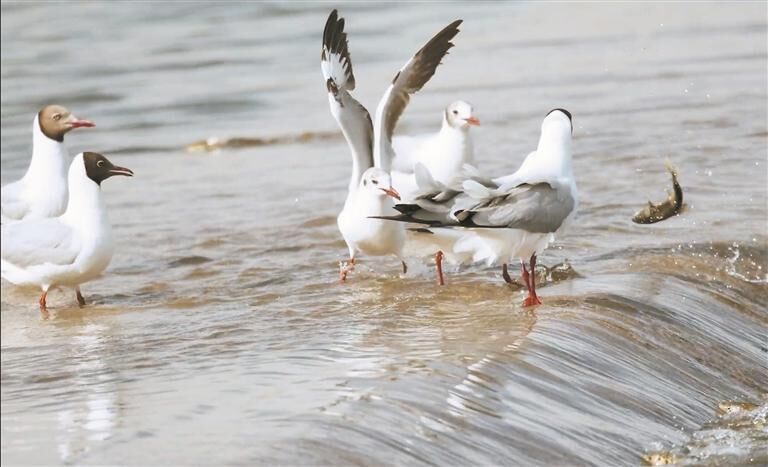 QQ�DƬ20250703054702