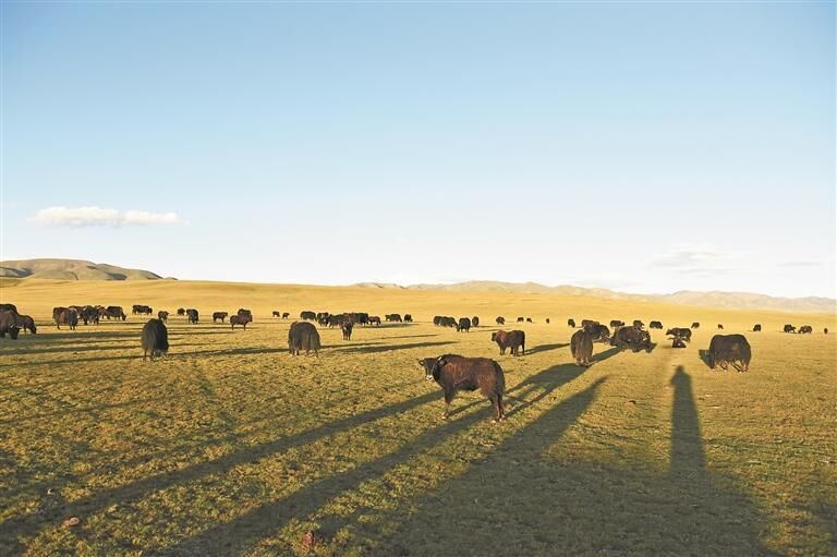 QQ�DƬ20250703061905