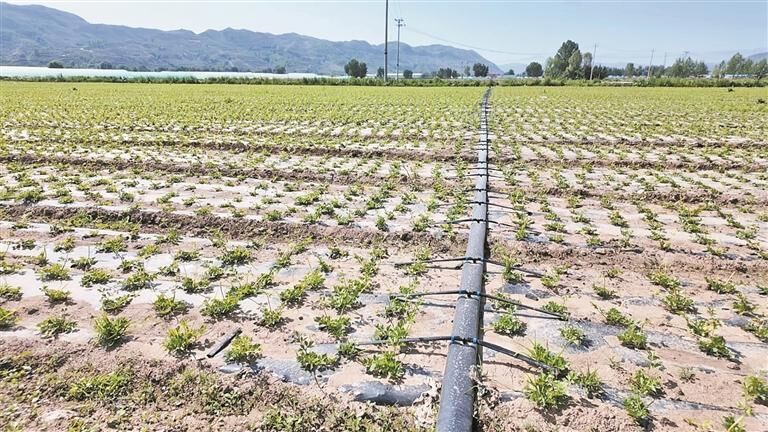 QQ�DƬ20250703064000