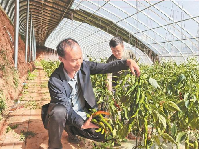 �h��tҫ���z� ���ҹ��{����ƪ