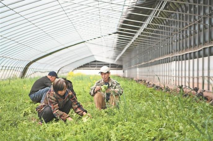 �������𡰲˻@�ӡ�����