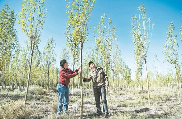 ���r�� ������ ���I ���|���lչ�{���С��ຣ���������ʮ���塱�^�M�µ�ȫ�¿�Խ