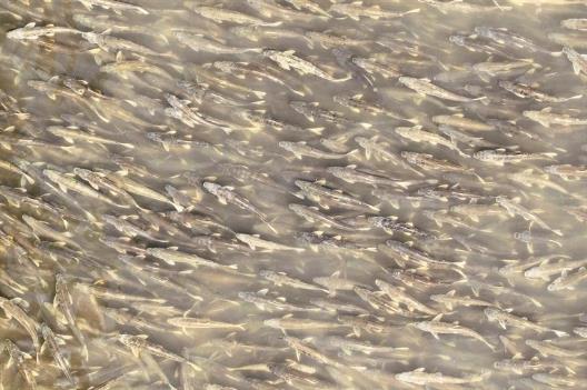 ����ӛ��(x��)��ƽ����ӛ���� �������B(t��i)�����ߵء�49�������~���l����׃����Σ��������ʲô