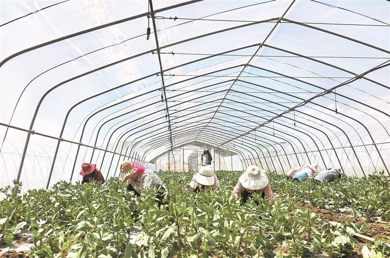 QQ�DƬ20250709053657