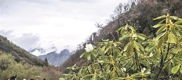 ���h�� ���������h��ِ�ؿ����h�����١����˽�ɫ���� ̽���ؾ�֮��