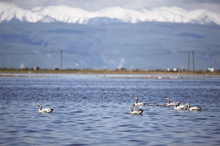 QQ�DƬ20250709061859