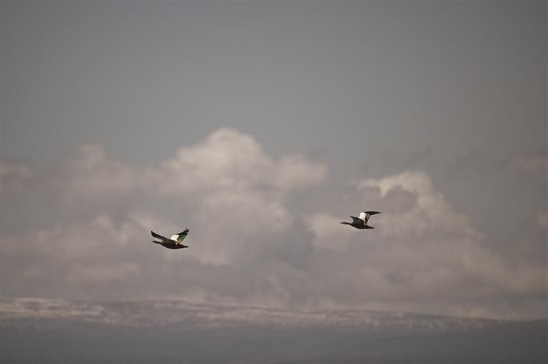 QQ�DƬ20250709061912