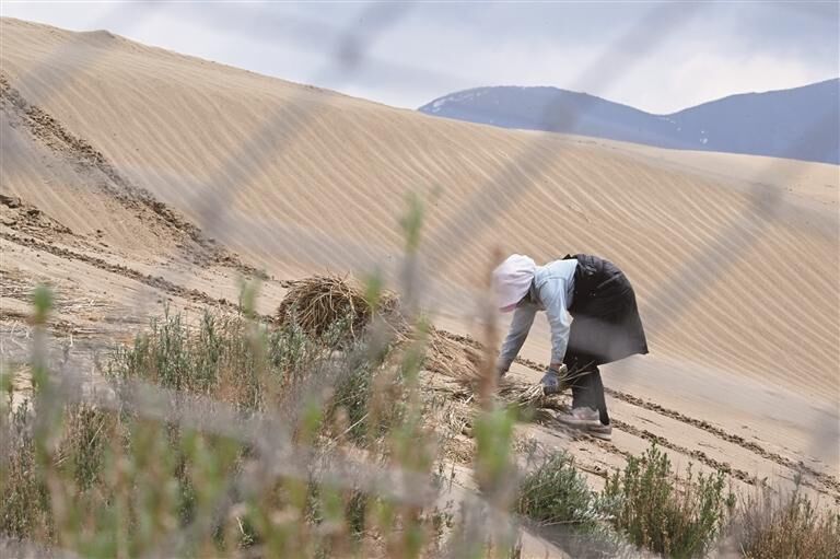 QQ�DƬ20250709061934