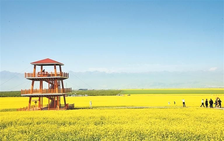 ΢�ňDƬ_20250713062319