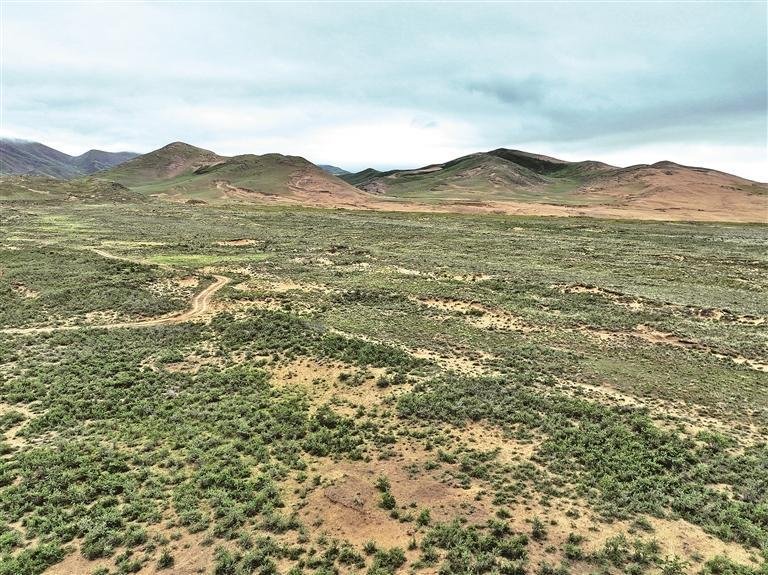 ΢�ňDƬ_20250713071200