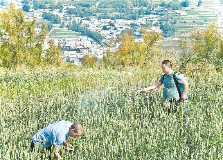 QQ�DƬ20250715060753