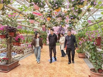 湟中四年:見聞于心,山河入懷——記南京市東西部協作掛職干部、湟中區委副書記、副區長徐寧