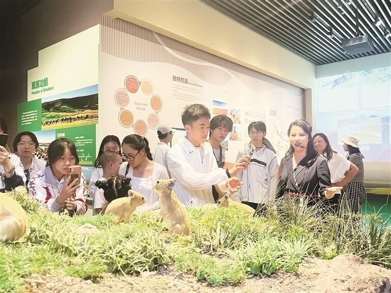 QQ�DƬ20250717063037