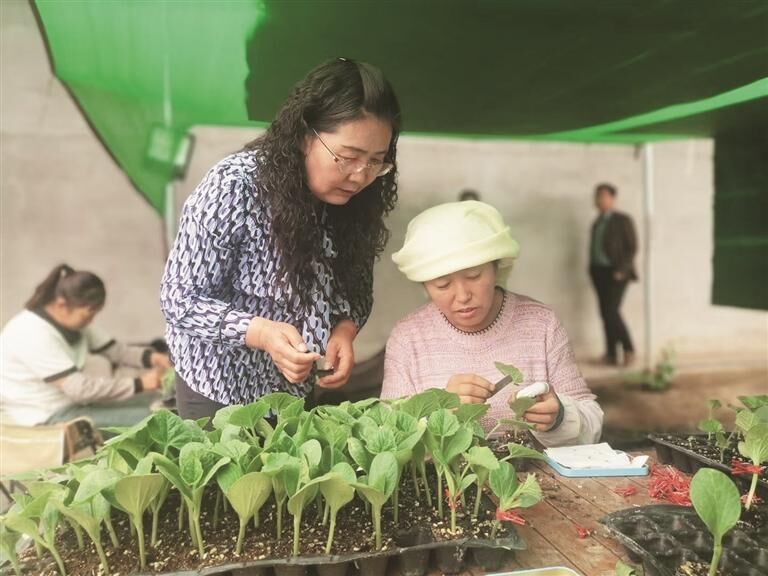 QQ�DƬ20250717063734