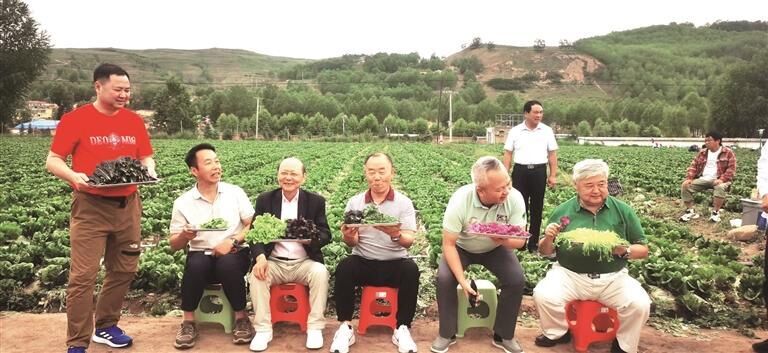 QQ�DƬ20250717063741