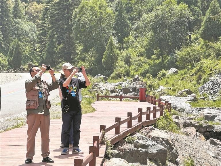 QQ�DƬ20250719062428