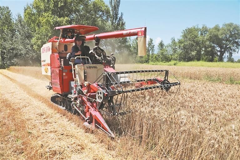 QQ�DƬ20250723062312