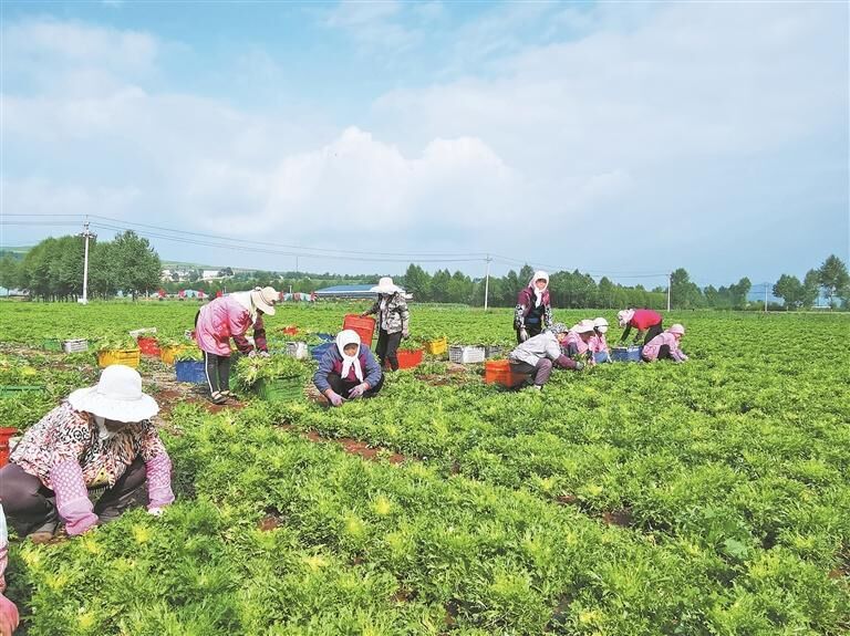 QQ�DƬ20250723062319