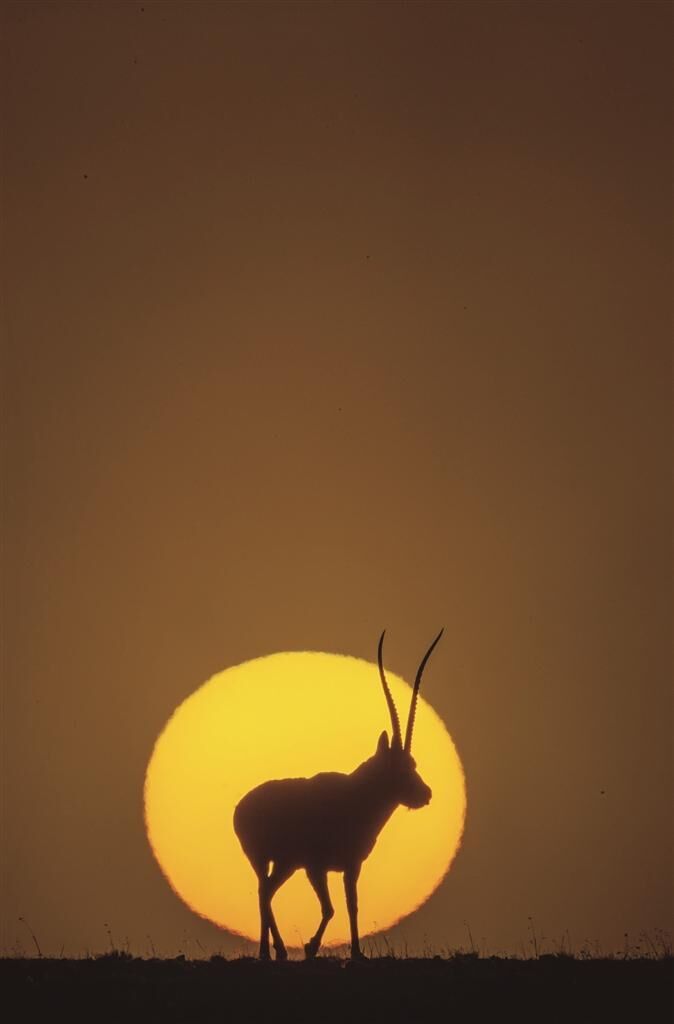 QQ�DƬ20250723065605