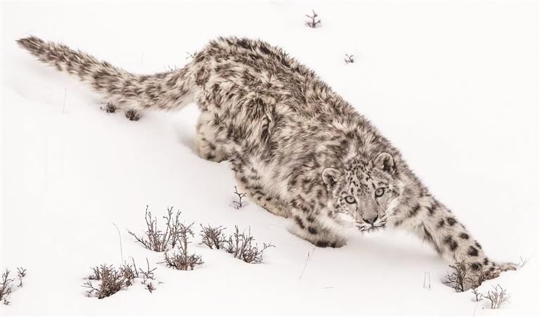 QQ�DƬ20250723065612