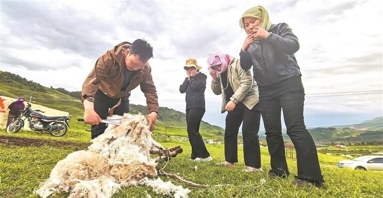 QQ�DƬ20250723072543