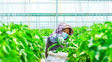 ���40С�r���ຣ���������Ѕ^�r���J�K��