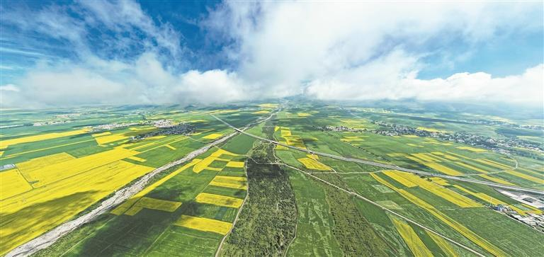 QQ�DƬ20250729054401