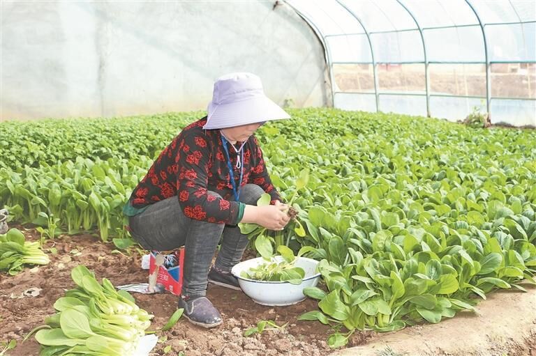 QQ�DƬ20250729060742