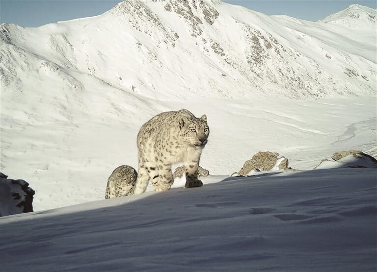 QQ�DƬ20250731061827