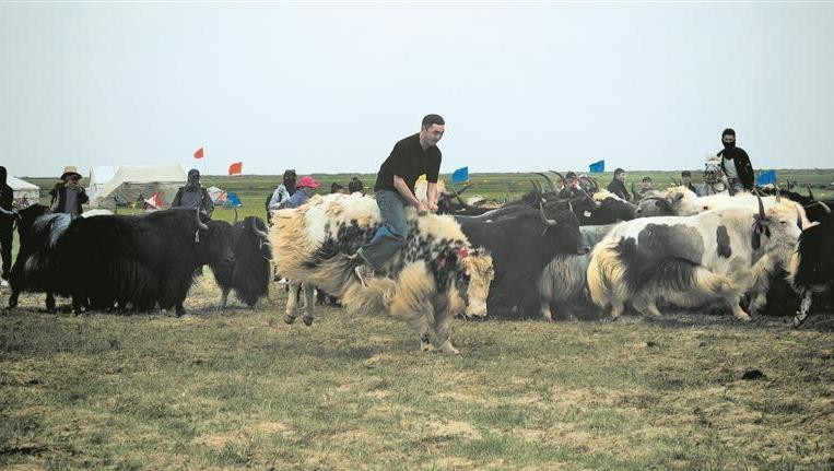 �����c�F�Y���Ļ��\�ӕ�����