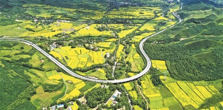 QQ�DƬ20250812053757