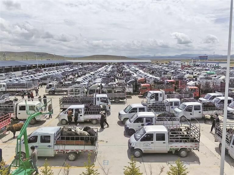 QQ�DƬ20250812062533