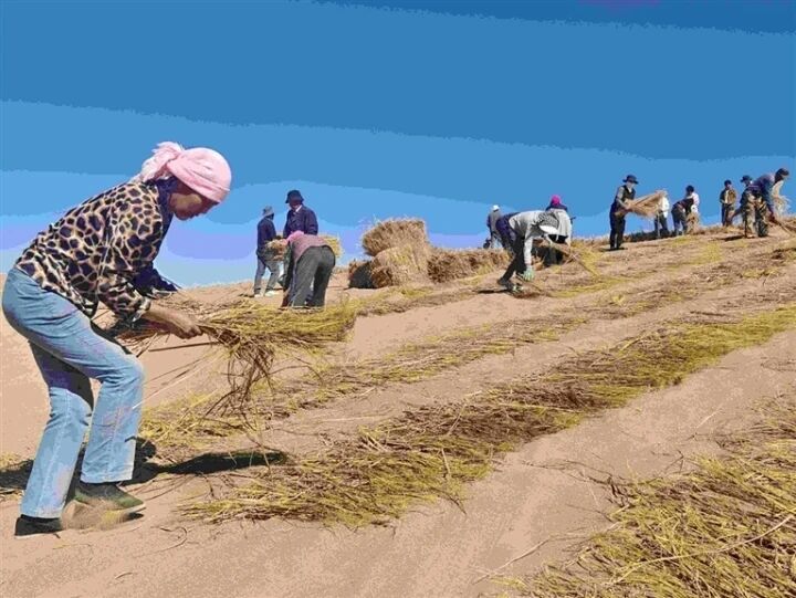 嫺�ֲ�G������ ������Gɫ�L��������ԭ���B