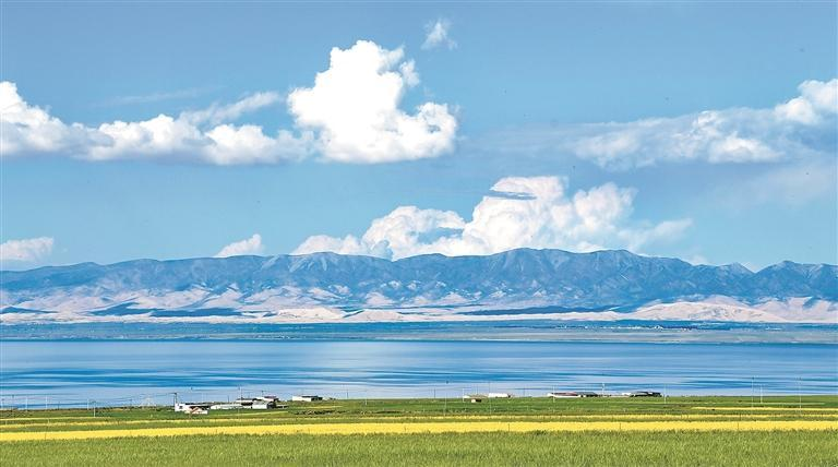 QQ�DƬ20250814054549