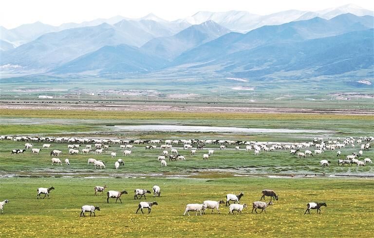 QQ�DƬ20250814054556