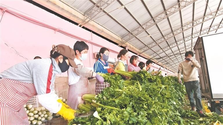 QQ�DƬ20250814055258