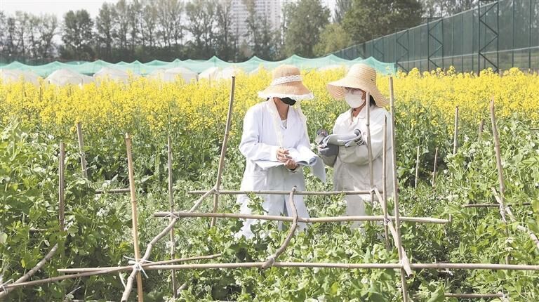 �������۽�����ԭ���N�I���١�����ֲ����Ʒ�N�������