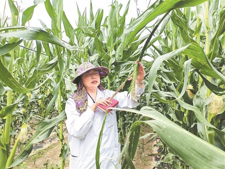 QQ�DƬ20250814061339