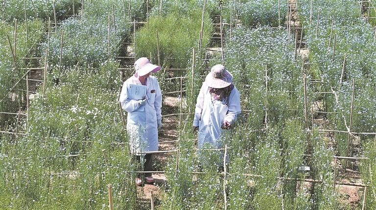 QQ�DƬ20250814061348