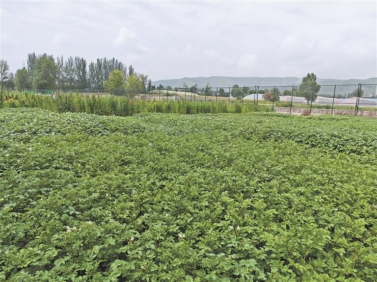 QQ�DƬ20250814061356