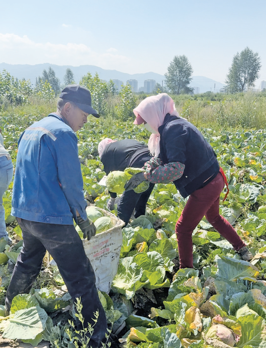 QQ�DƬ20250814063938