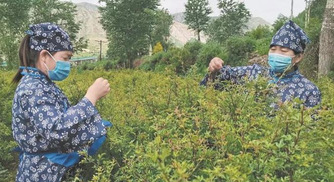 ���l(xi��ng)�����d���ຣ�������׃��ӛ