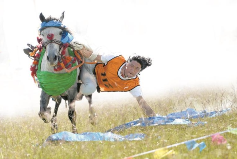 �Ѻ����D_20250824064101