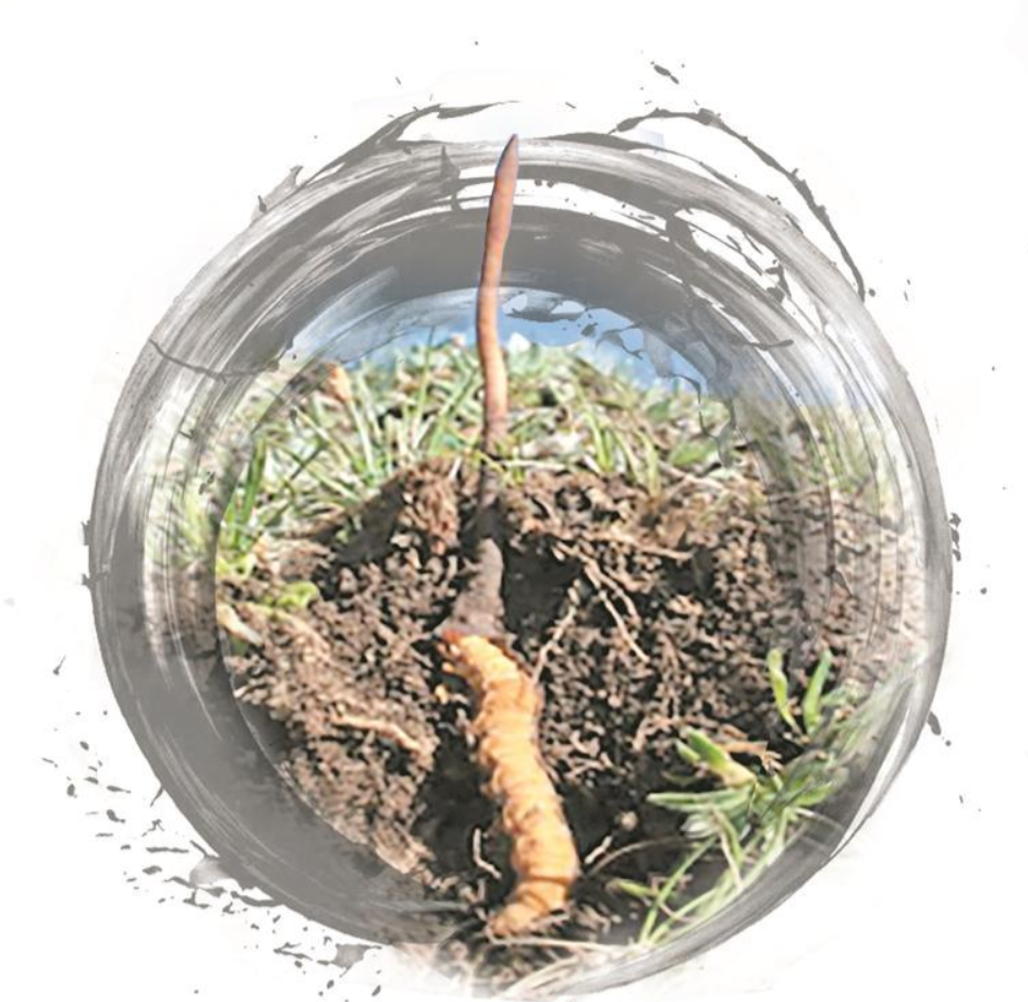 wechat_2025-08-25_063418_175