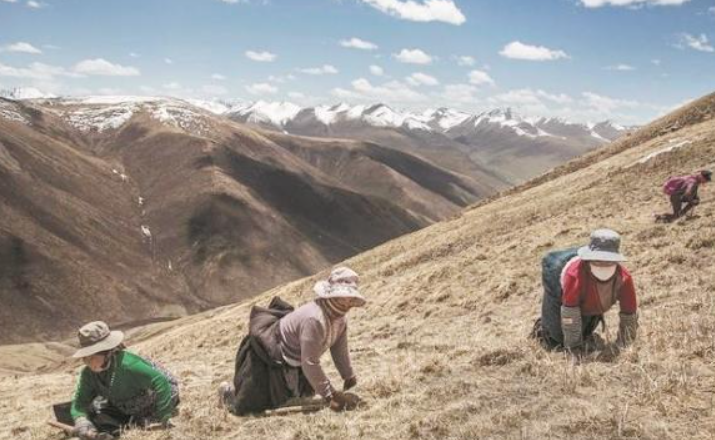 wechat_2025-08-25_063426_031