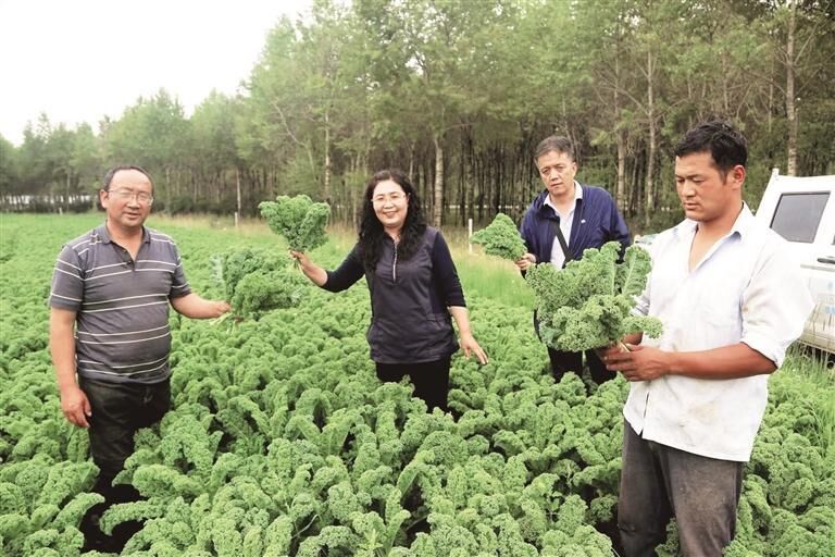 QQ�DƬ20250826062422